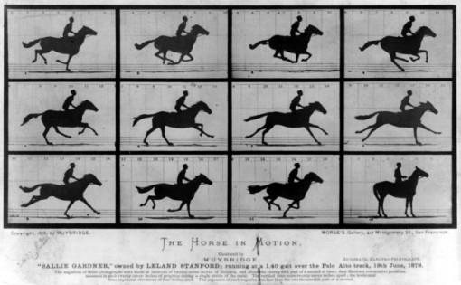 Eadweard-Muybridge-running-horse-post-510x315